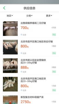 豬邦忙截圖