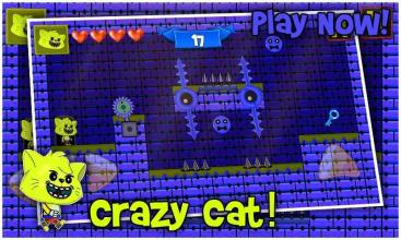 Cat Crazy - Escape Adventure Room截图1