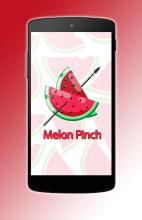 Melon Pinch截图2