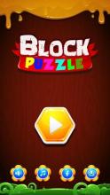 Block Hexa Puzzle Challenge截图2