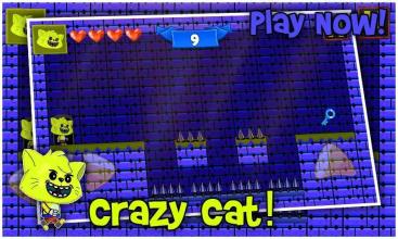 Cat Crazy - Escape Adventure Room截图2