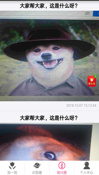拍照識物截圖
