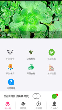拍照識物截圖