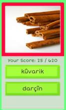 Learn Kurdish With Pictures截图2