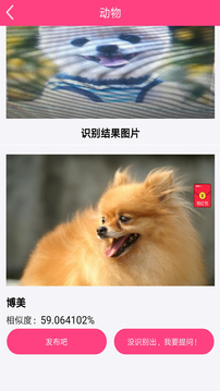拍照識物截圖