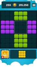 Block Puzzle Legend Mania截图2