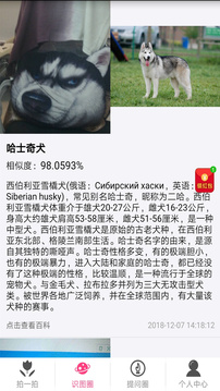 拍照識物截圖