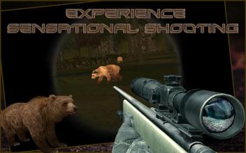 Bear Hunting : Sniper 3d截图2