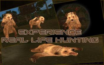 Bear Hunting : Sniper 3d截图1