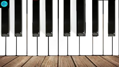 My Piano / Pro Piano截图1