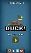 Duck! Duck! Duck!截图1