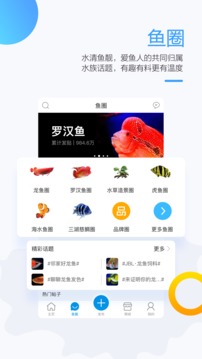 龍巔魚鄰截圖