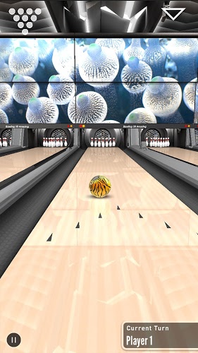 Bowling 3D Master Free截图5