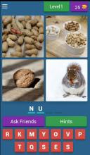 1 Word 4 Pics Game截图2