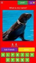 Kids Learn Animal Name截图2