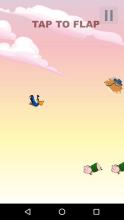 Bird Zone Play截图1