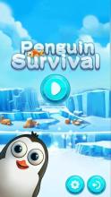 Penguin Survival截图1