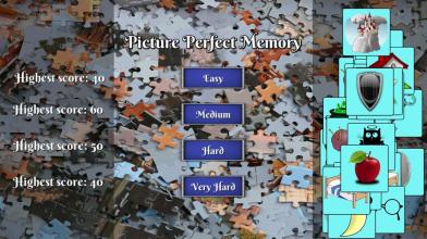 Picture Perfect Memory截图2