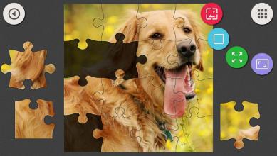 Jigsaw Puzzle - Cats and Dogs截图2