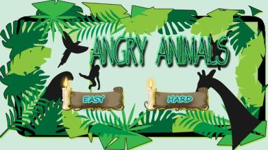 Angry Animals截图2