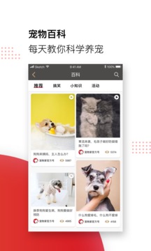 寵物家截圖