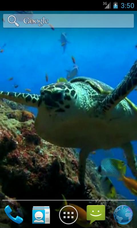 Sea Turtle截图1