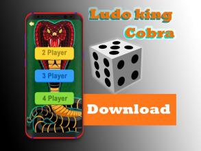 Ludo king cobra截图1