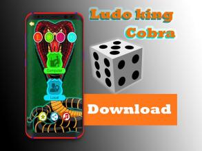 Ludo king cobra截图2