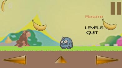 Monkey Jungle Adventure Game : Monkey Game Banana截图2