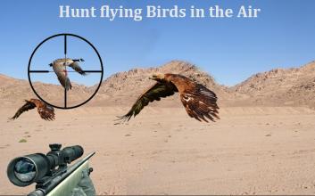 Desert Birds Sniper Hunter截图1