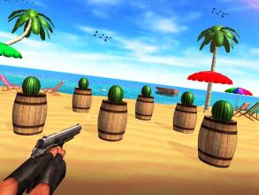 Fruit Shooting Expert - Watermelon Shoot Target截图2