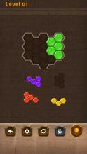 Block Puzzle : Hexa Quest截图2