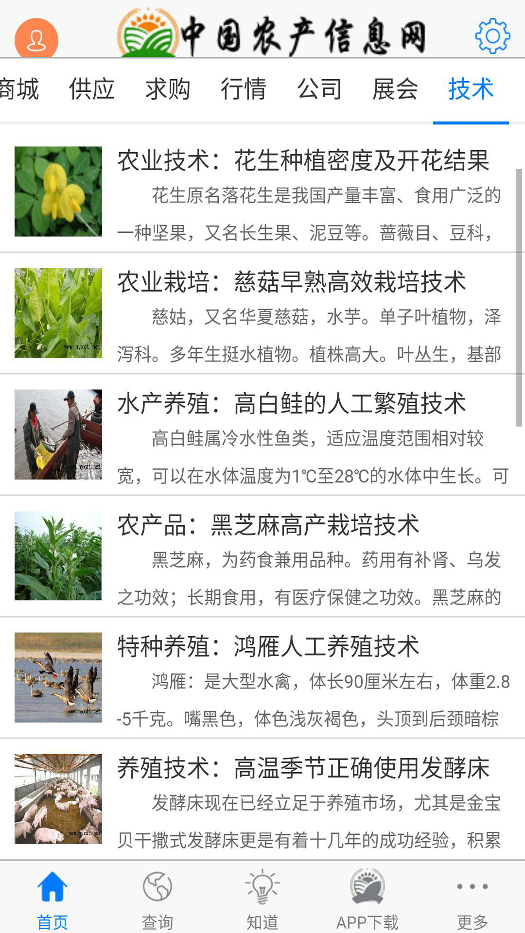 中国农产信息网截图2