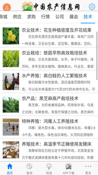 中国农产信息网截图