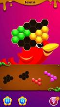 Red Bird Hexa Puzzle截图5