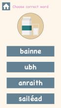 Caoga caoga - Learn Irish Vocabulary截图4