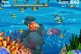 Fish Big Eat Fish Small截图2