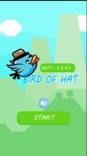 Bird Of Hat截图1