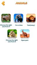 Animals: quiz. Mammals, Birds and Fish截图4