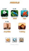 Animals: quiz. Mammals, Birds and Fish截图5