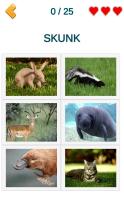 Animals: quiz. Mammals, Birds and Fish截图1