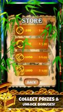 Coin Dozer : Huge Bonus截图2