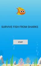 Survive The Fish截图4