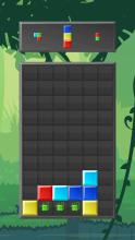 Block Crush Puzzle截图2