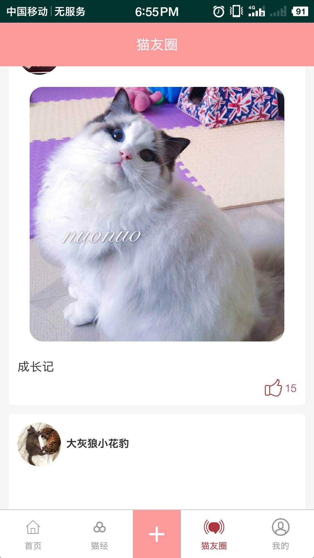 优彩猫推荐截图3