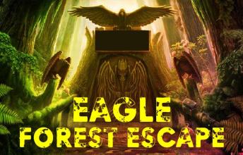 Eagle Forest Escape截图5