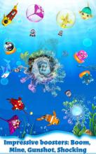 Fish Crush Lite截图3