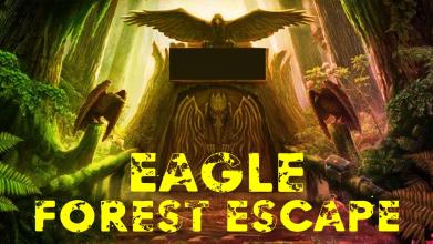 Eagle Forest Escape截图2