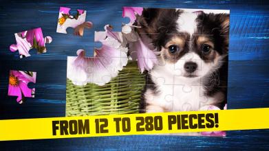 Puppy Dogs Jigsaw Puzzles截图4