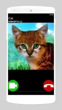 fake call video cat game截图3